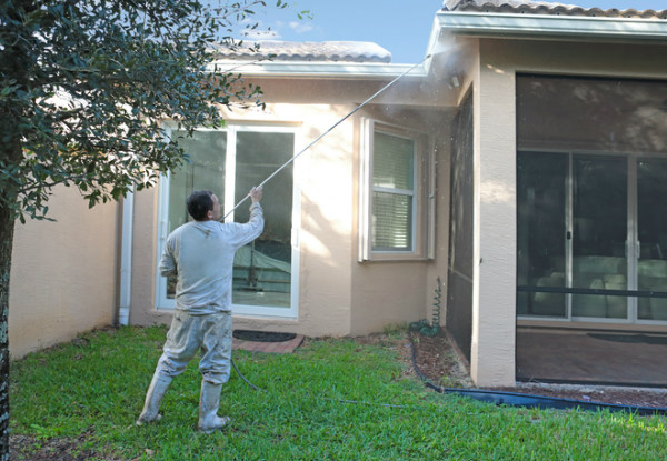 Post-Winter Exterior House Wash Package incl. Exterior Window Clean - Options for up to Six Bedrooms & to incl. a Moss & Mould Treatment