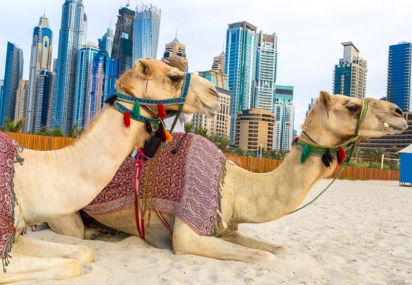 Per-Person Twin-Share for a Six-Night Dubai Tour incl. Four-Star Accommodation, Desert Safari, City Tour, Sightseeing, Activities & All Transfers