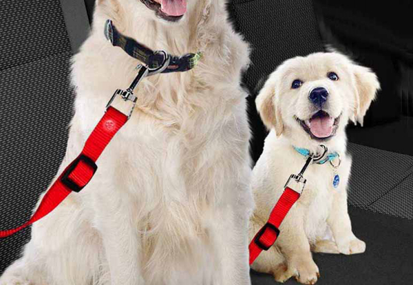 Two-Piece Adjustable Car Pet Safety Seatbelt - Three Colours Available