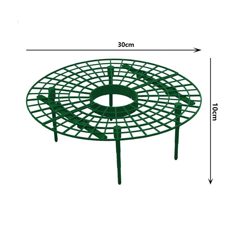 Five-Pack Strawberry Plant Support Tool