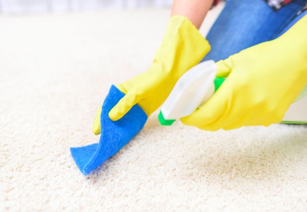 Three-Bedroom Professional Carpet Clean - Options for up to Six Rooms - Wellington & Kapiti Locations Available