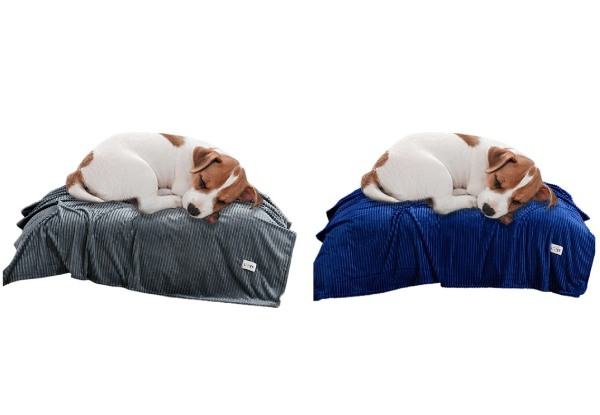 Two Pet Blankets - Four Colour Options Available