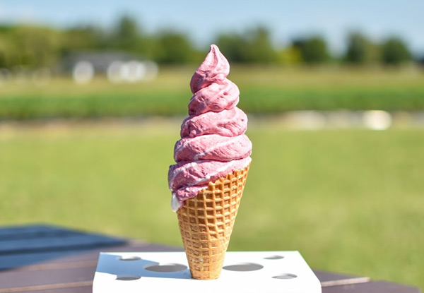 Two Real Fruit Ice Creams at Ruakura Berry Shop