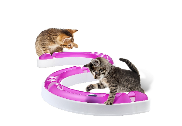 Interactive Cat Track & Ball Pet Toy