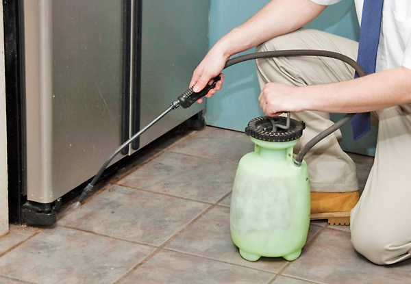 $49 for One Pest Control Treatment or $79 for Two Treatments – Eliminate Rats, Mice, Cockroaches, Ants, Spiders or Fleas (value up to $140)