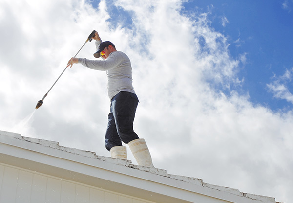 Roof Treatment for Moss, Mould, Lichen, Roof & Gutter Inspection for a Three-Bedroom Home - Options For a Four- or Five-Bedroom Home