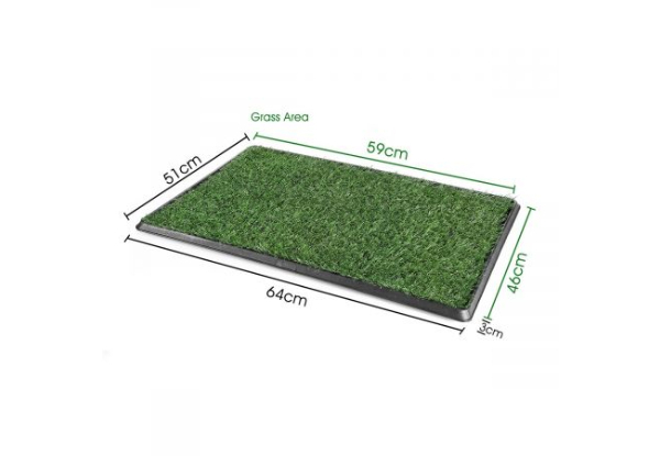 Indoor Pet Toilet Training Set with Two Grass Mats