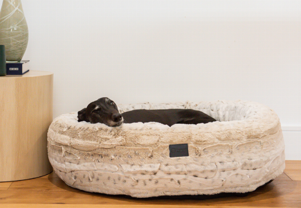 Superior Pet Goods Harley Pet Bed - Three Sizes Available