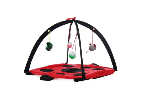 Cat Play Bed Activity Tent