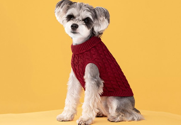 Dog's Candy Colour Sweater - Available in Seven Colours & Five Sizes