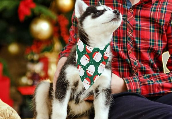 Two-Pack Pet Christmas Bandana - Five Styles Available