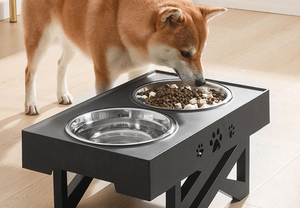 Pawz Elevated Pet Feeder