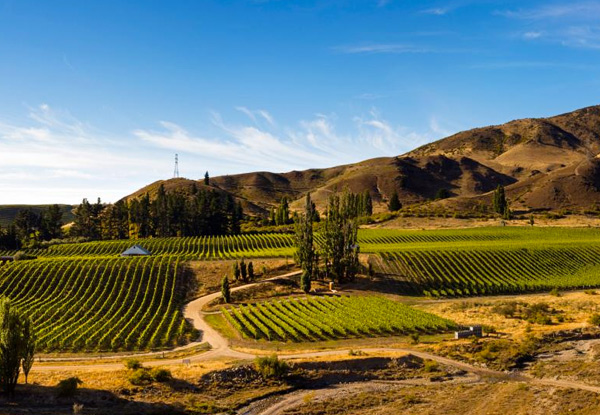 Full-Day Queenstown Wine Tour for One - Options up to Four People with Enjoi Queenstown