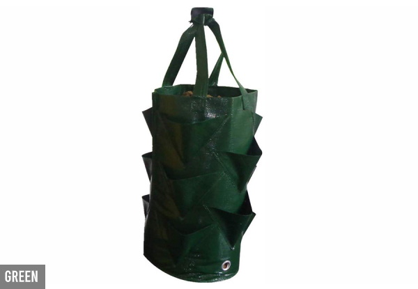 Strawberry Growing Bag - Three Colours Available & Option for Two with Free Delivery