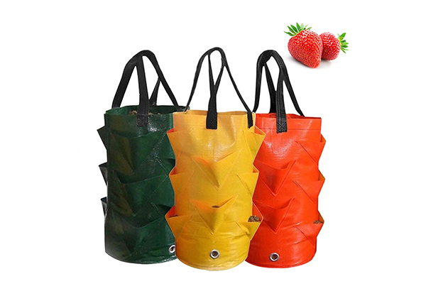 Two-Pack Three-Gallon Hanging Strawberry Planter Grow Bags - Three Colours Available