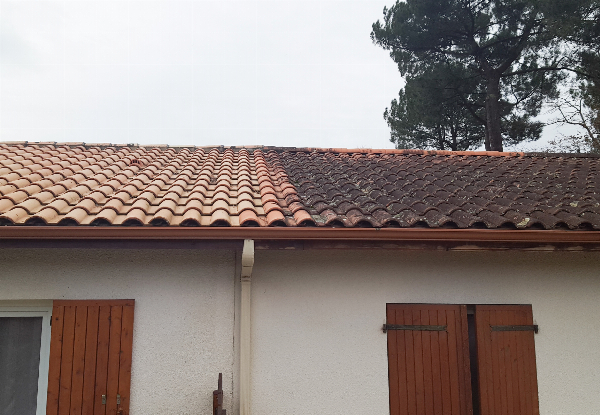 Moss, Mould & Lichen Roof Treatment for a Roof Under 120m² - Options for up to a  360m² Roof