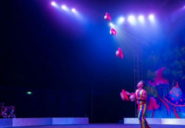 Ticket to the Brand New 
'Cirque Grande' - Option for Child's Ticket Available