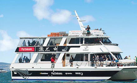 From $2,999 for the Ultimate Christmas Party Three-Hour Cruise incl. Christmas Buffet & Live DJ (value up to $8,782)