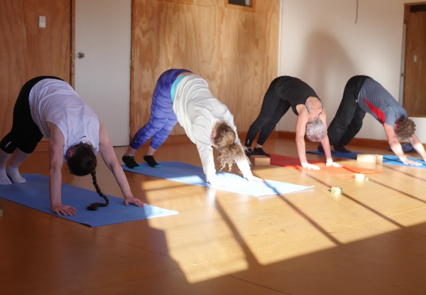 Yoga for the Mind, Body & Soul Class Pass - Option Five or Ten Classes