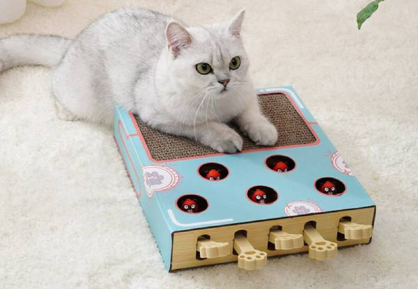 Cat Whack-a-Mole Toy