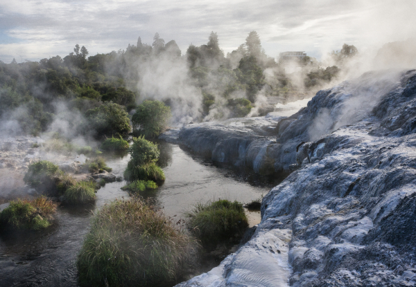 Per-Person, Twin-Share Four-Day Rotorua Trip incl. Accommodation, Airport Transfers & Entrance to Te Puia, Rainbow's Spring, The Agrodome, Tamaki Maori Village, Rotorua Canopy Tours & Polynesian Spa - Options for Standard or Superior Accommodation