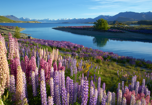 Two-Night YHA Lake Tekapo Accommodation for Two Adults in a Private Ensuite Room