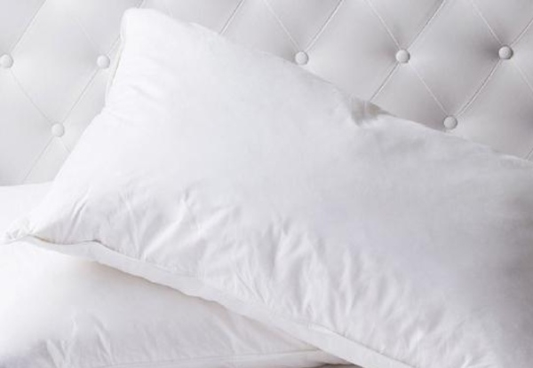 Twin-Pack of Royal Comfort Duck Feather & Down Pillows
