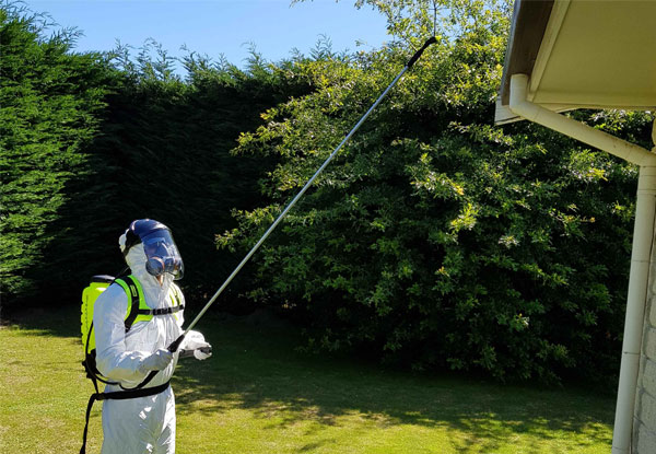 Certified Spider Proofing for a Two-Bedroom House incl. $20 Window Cleaning Voucher - Options for up to Five-Bedroom House Available