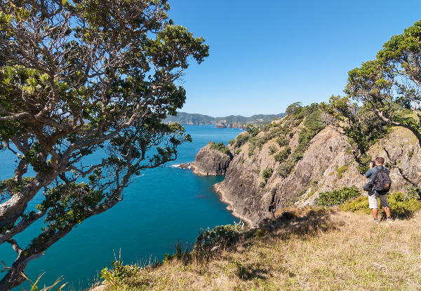 Return Ferry Trip to Otehei Bay in the Spectacular Bay of Islands - Options for Adults, Children & Families