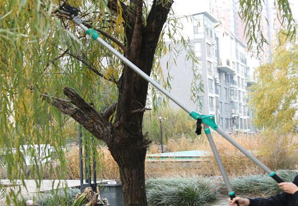 Telescopic Extendable High-Reach Tree Pruner - Option for Two Available