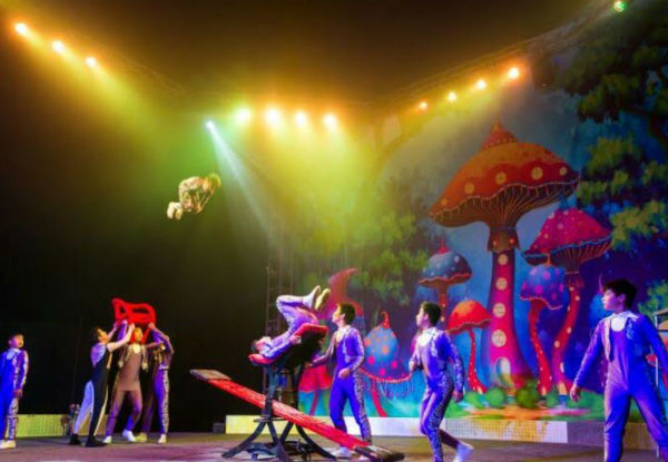 Ticket to the Brand New 
'Cirque Grande' - Option for Child's Ticket Available