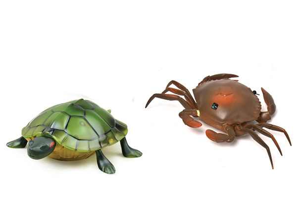 Remote Control Crab or Turtle