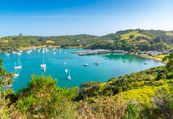 One-Day Car Hire on Waiheke