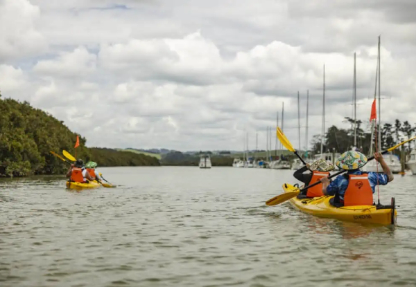 Hallertau Clevedon Kayak Adventure for One Adult - Option for Child