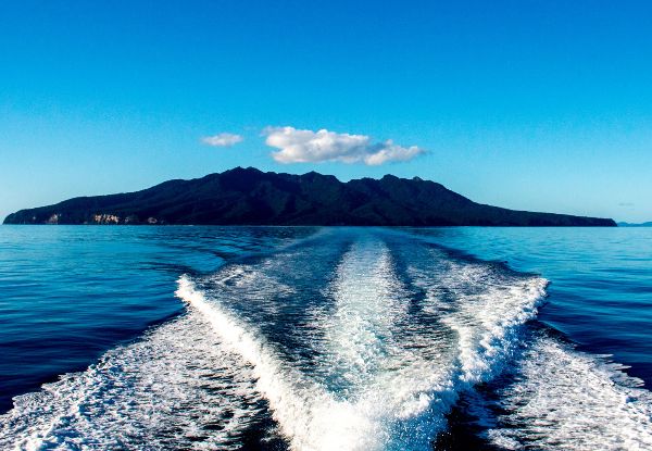 Six-Hour Adventure Boat Cruise to Little Barrier Island for One Adult incl. Lunch & Activities - Options for Child, Family or Two Adults
