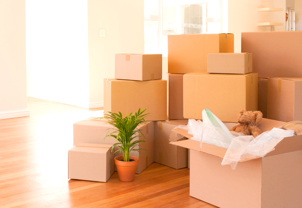 Five-Hour Movers/Builders Clean - Options for a Two-Room Carpet Clean or More Rooms Available