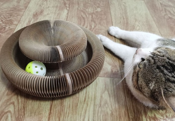 Foldable Cardboard Cat Scratching Post