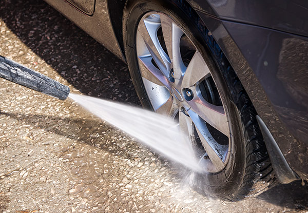 $39 for a Quick Wash, $59 for an Interior Groom or $69 for an Exterior Groom