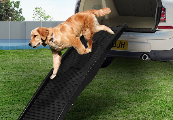 Pawz Foldable Travel Dog Ramp