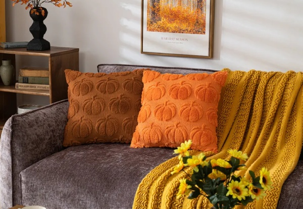 Two-Piece 45cm Pumpkin Accent Throw Pillow Covers