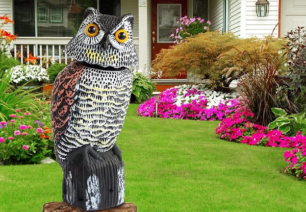 Motion Activated Chirping Owl With Rotating Head