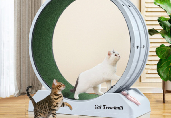 Petscene Cat Running Wheel Exerciser Toy