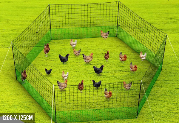 Chicken Mesh Net Cage - Four Sizes Available
