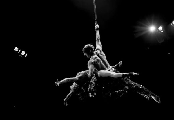 Three 90-Minute Circus Classes at Auckland's Premier Aerial Arts School for Adult or Child - Option for a Full Term of Circus Classes Available - Penrose Location