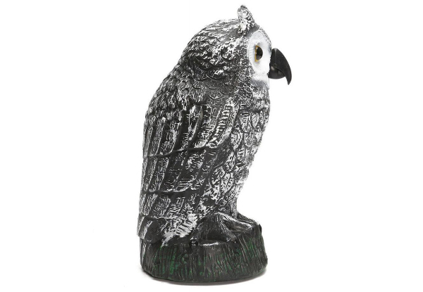 Large Garden Owl Decoy - Available in Two Colours