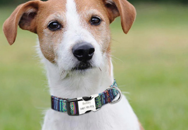 Personalised Ethnic Pet Collar - Four Sizes Available