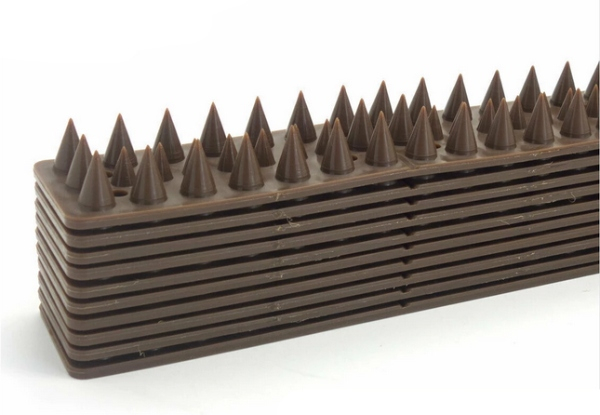 Ten-Pack of Fence Spikes with Free Delivery