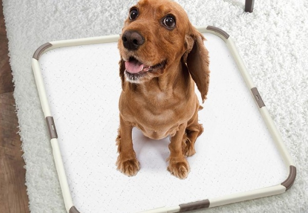 Portable Dog Training Holder Pee Tray