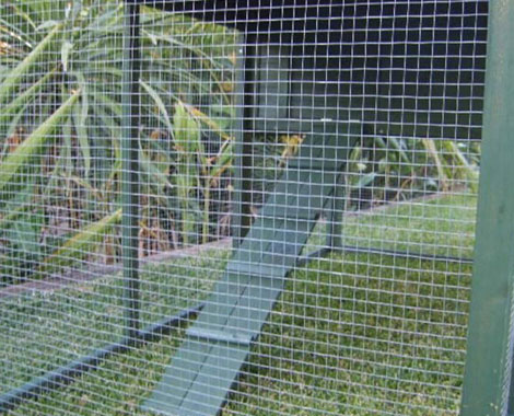 $279 for a Weather-Resistant Chicken Coop with Nesting Box