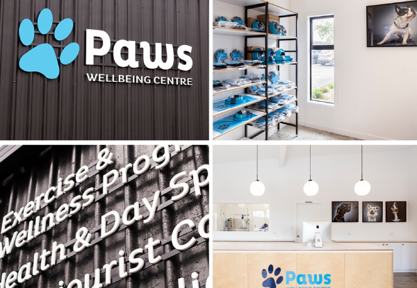 45-Minute Dapper Dog Full Luxury Grooming Package